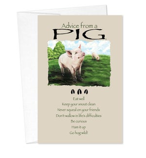 BD/Advice Pig