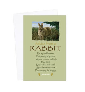 BD/Advice Rabbit
