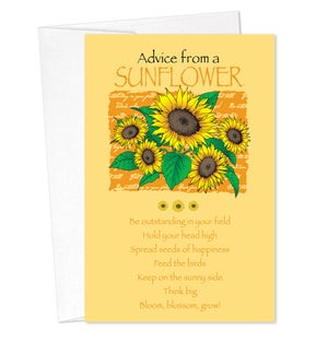 BD/Advice Sunflower