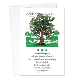 BD/Advice Tree