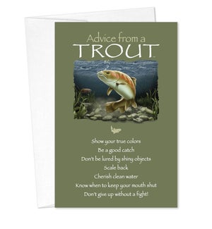 BD/Advice Trout