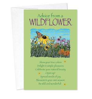 BD/Advice Wildflower