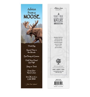 BM/Moose