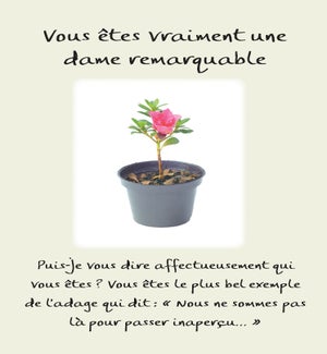 FRFR/Vous Etes Vraiment Une