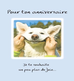 BDFR/Pour Ton Anniversaire