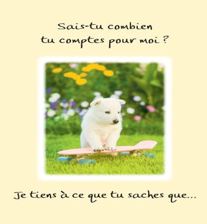 FRFR/Sais Tu Combien Tu Compte