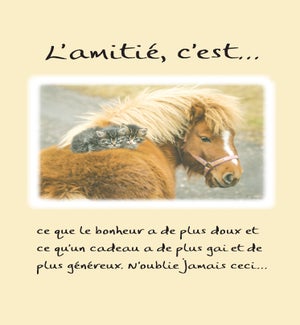 FRFR/L'Amitie, C'est