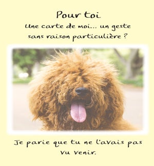 FRFR/Pour Toi Une Carte De Moi