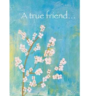 FR/A True Friend…