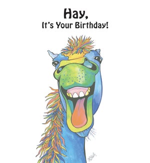 BD/Hay, It's Your Birthday
