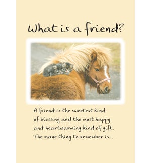 FR/What Is A Friend? A Friend