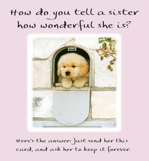 SI/How Do You Tell A Sister Ho