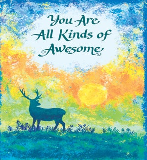 TY/All Kinds Of Awesome