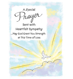 SY/A Special Prayer Taken