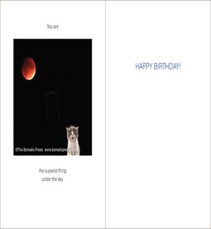 BD/Superist Thing