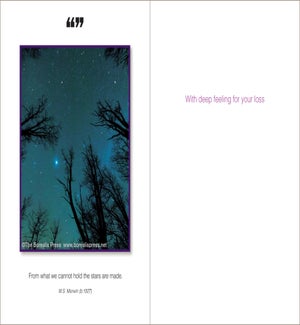 SY/From What We Cannot