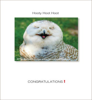 COB/Hoot