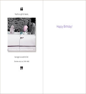 BD/Youth Is A Gift