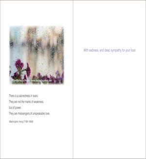 SY/There Is A Sacredness
