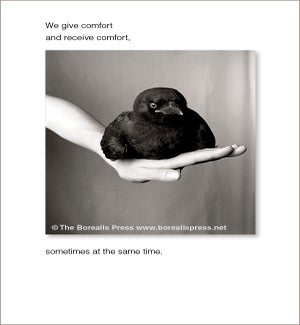 EDB/We give comfort