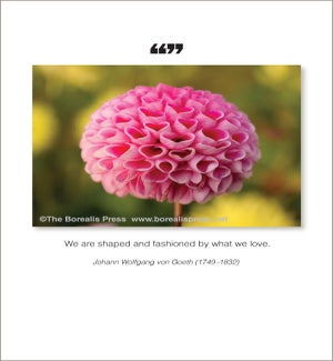 ANB/We are shaped