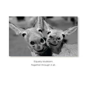 AN/Stubborn Together
