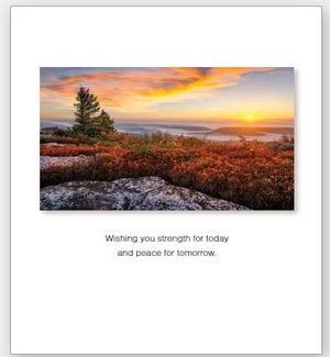 SY/Wishing You Strength