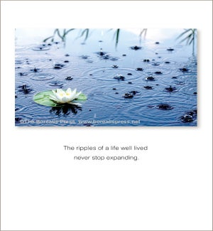 SY/The Ripples Of Life
