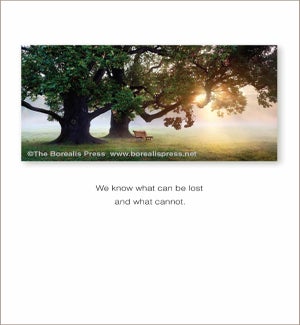 SY/We Know What Can Be Lost