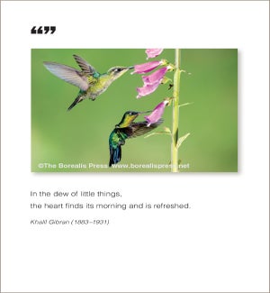 GW/In The Dew Of Things