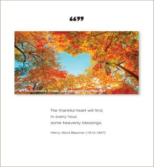 TY/Thankful Heart