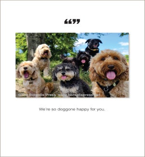 CO/We're so doggone