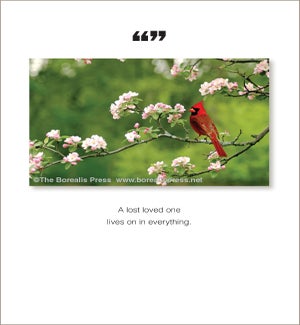 SY/A lost loved one
