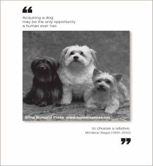 EDB/Acquiring a dog may be
