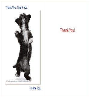 TY/Thank You,