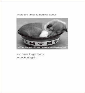 EN/Time To Bounce