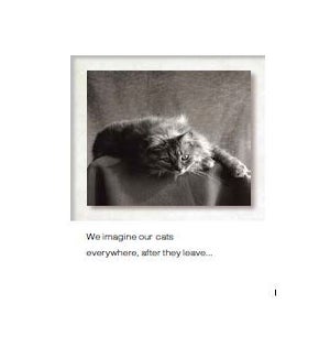 PSY/We imagine our cats