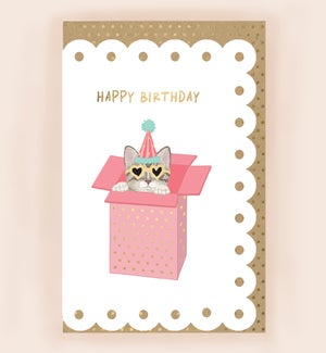 BD/Birthday Cat in Box