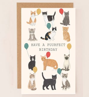 BD/Have a Purrfect Birthday