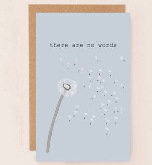SY/There Are No Words