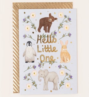 NB/Hello Little One