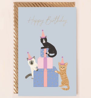 BD/Cats on Presents