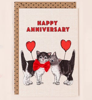 AN/Anniversary Cats