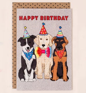BD/Party Dogs