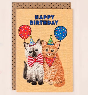 BD/White and Orange Cats