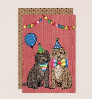 BD/Birthday Cockapoo