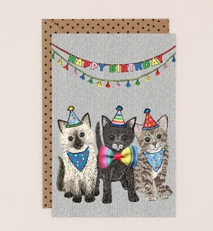 BD/Birthday Cats Trio