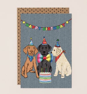 BD/Party Dogs with Cake