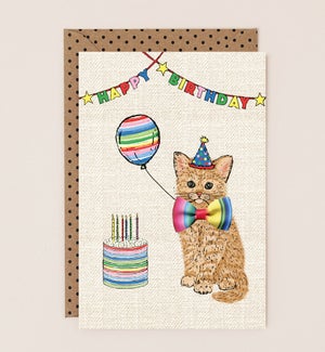 BD/Cat with Cake