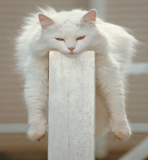 GW/Get over this Hurdle